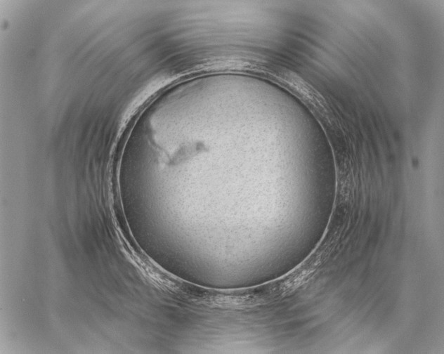 X0000059091086200510211601