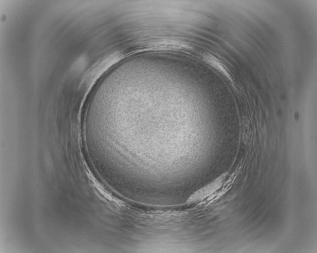 X0000059091087200510211601