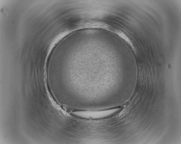 X0000059091088200510211601