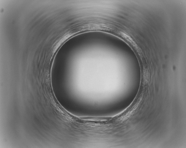 X0000059091089200510211601