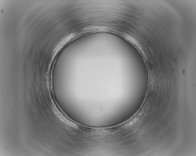 X0000059091090200510211601