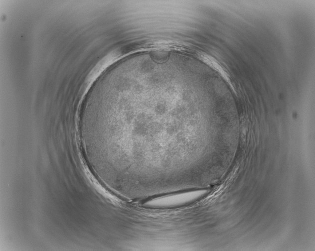 X0000059091091200510211601