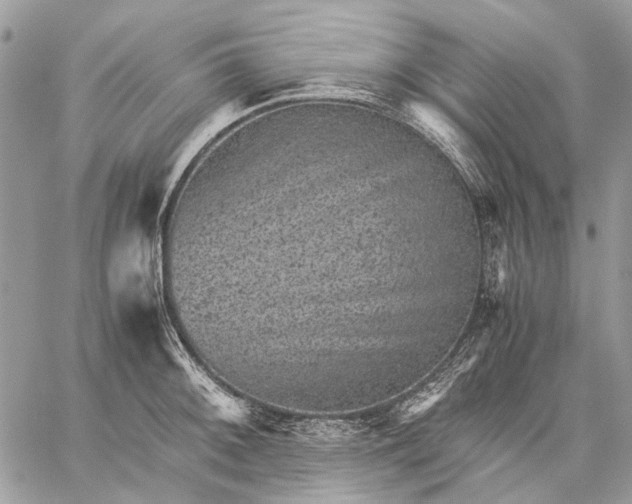 X0000059091092200510211601