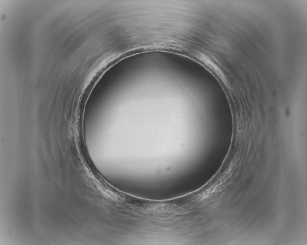 X0000059091093200510211601