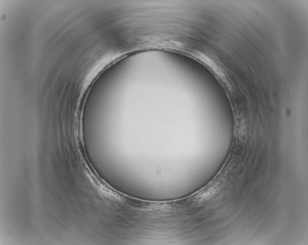 X0000059091094200510211601