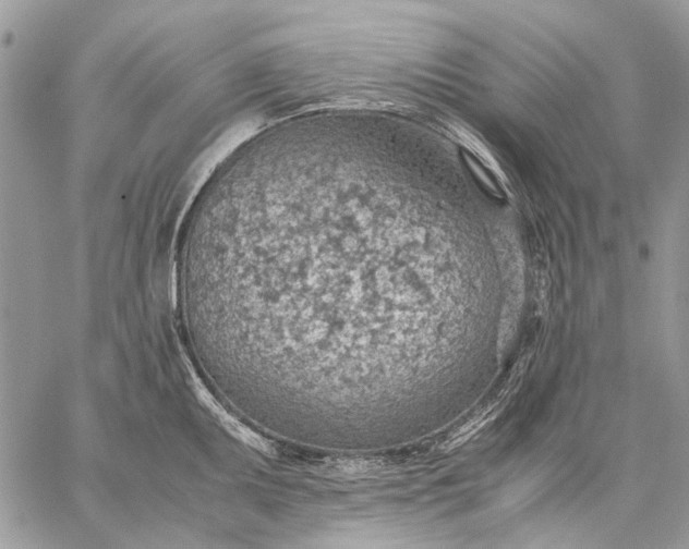 X0000059091095200510211601