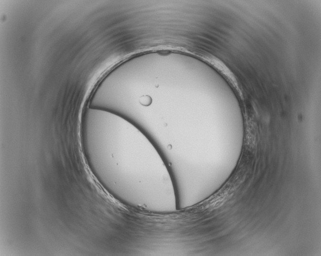 X0000059091096200510211601