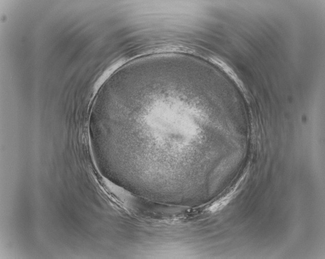 X0000059091097200510211601