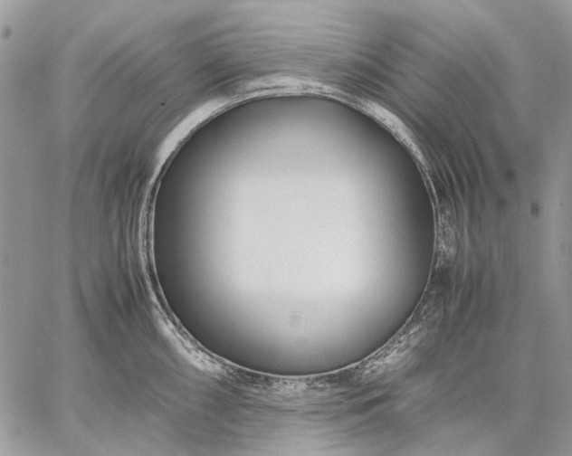 X0000059091098200510211601