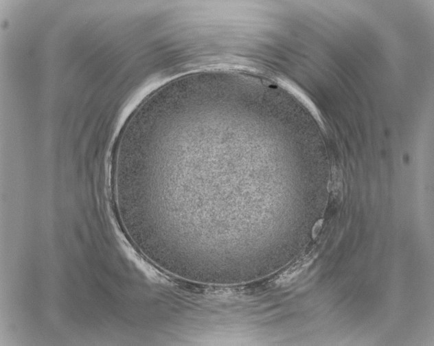 X0000059091099200510211601