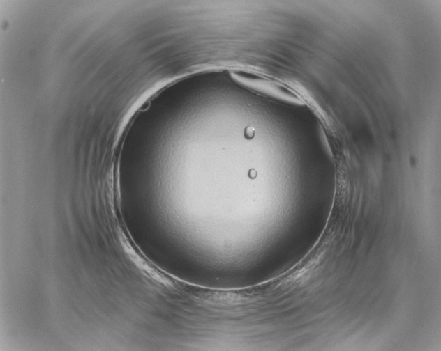 X0000059091100200510211601