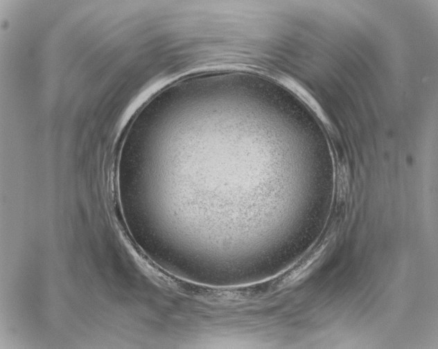 X0000059091101200510211601