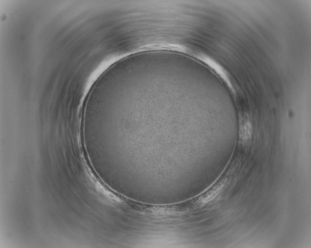 X0000059091102200510211601