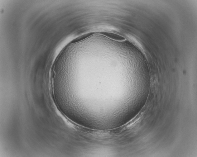 X0000059091103200510211601