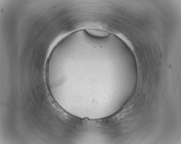 X0000059091104200510211600