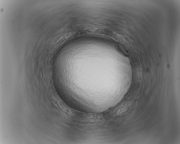 X0000059091105200510211600