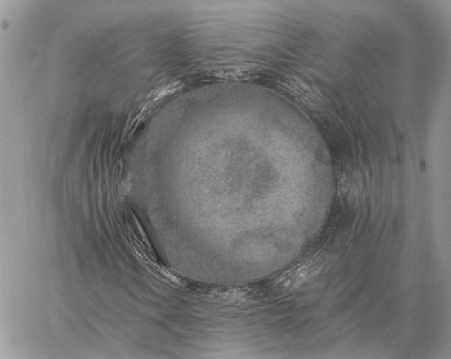 X0000059091106200510211600