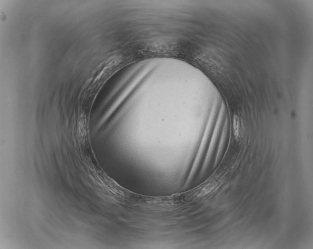 X0000059091107200510211600