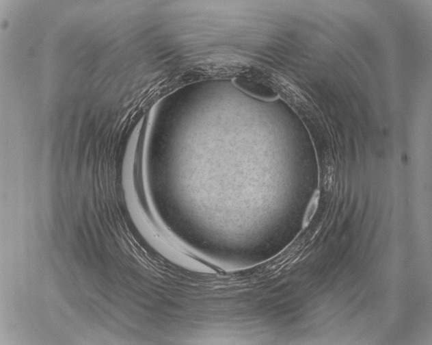 X0000059091108200510211600