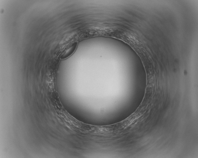 X0000059091109200510211600