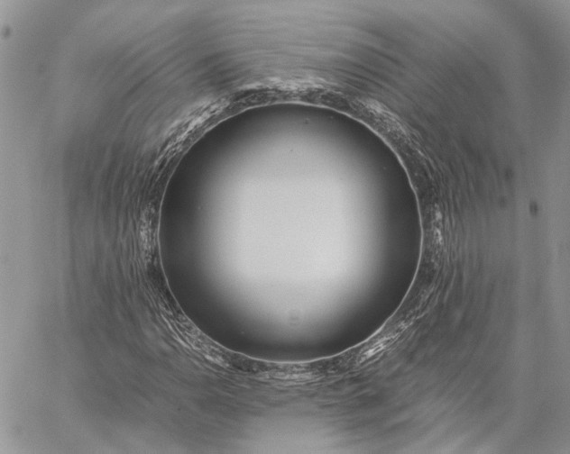 X0000059091110200510211600