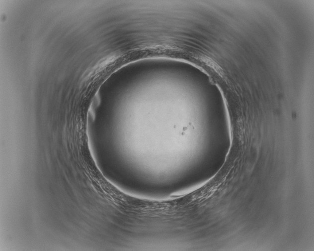 X0000059091111200510211600