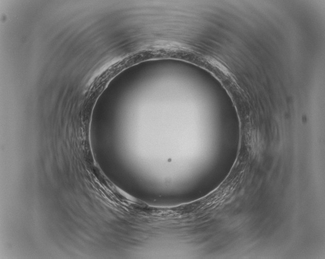 X0000059091112200510211600