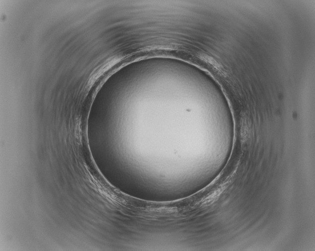 X0000059091113200510211600