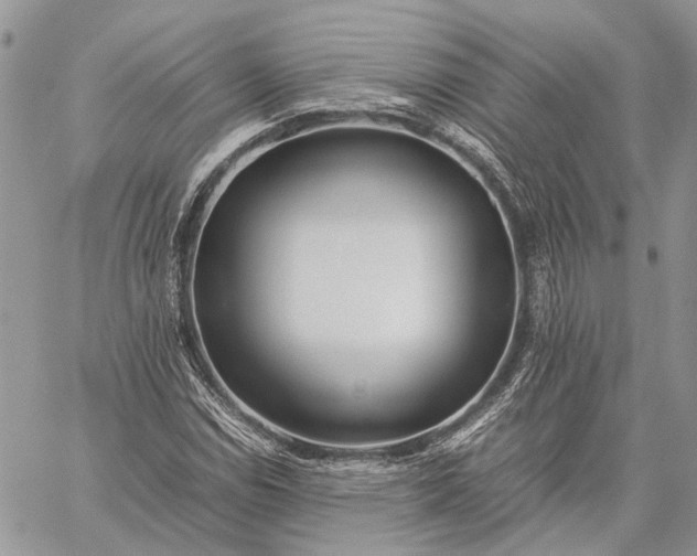 X0000059091114200510211600