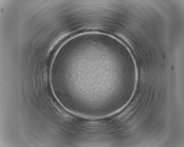 X0000059091115200510211600