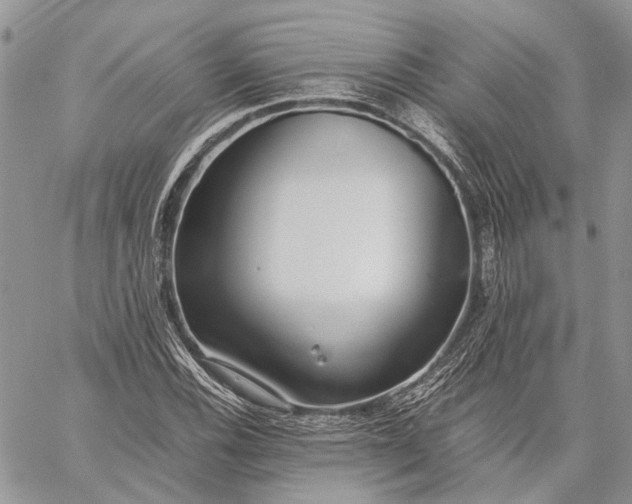 X0000059091116200510211600