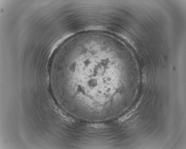 X0000059091117200510211600