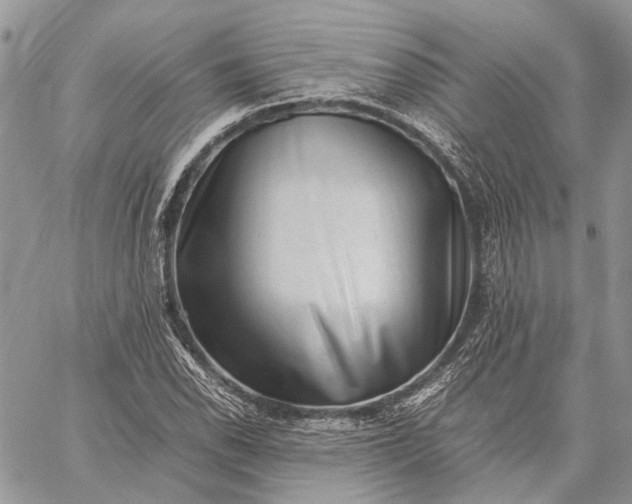 X0000059091118200510211600