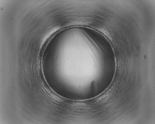 X0000059091119200510211600