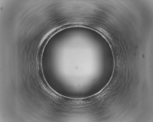 X0000059091120200510211600