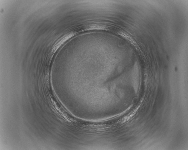 X0000059091121200510211600