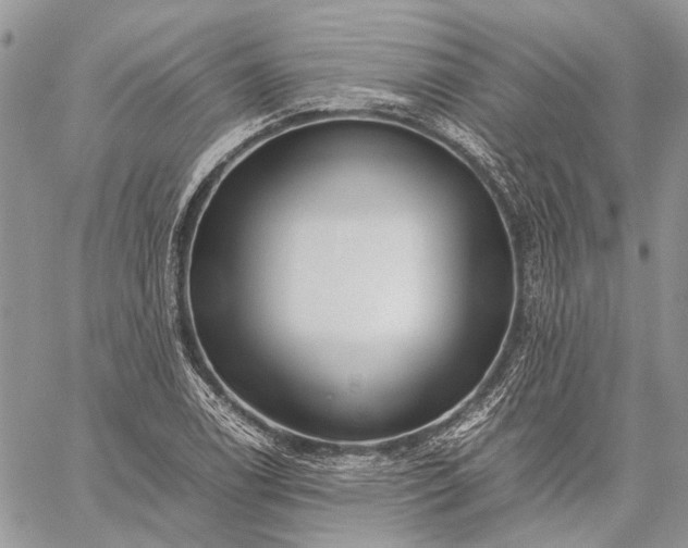 X0000059091122200510211600