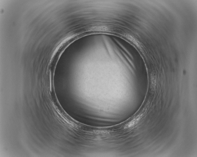 X0000059091123200510211600