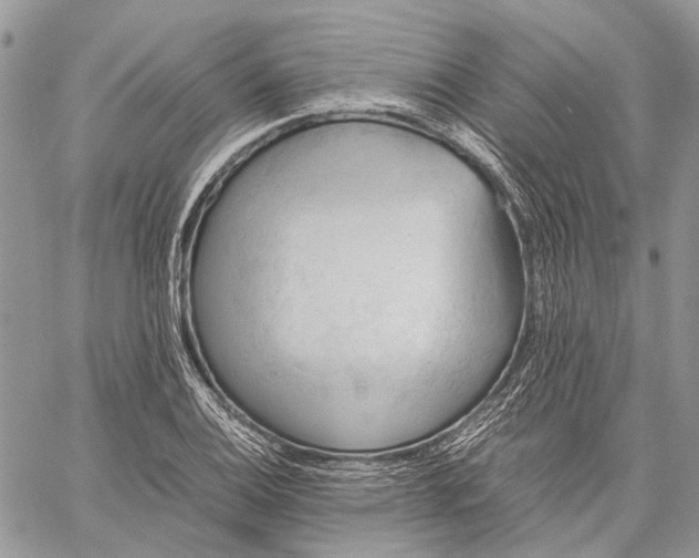 X0000059091124200510211600