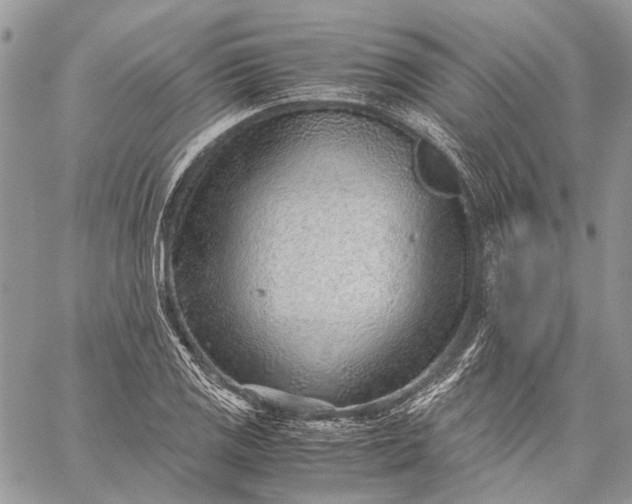 X0000059091125200510211600