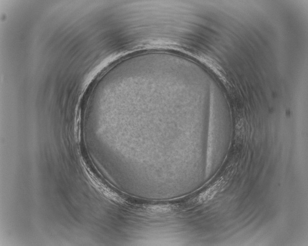 X0000059091126200510211600