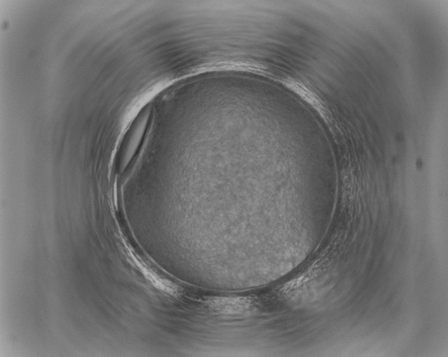 X0000059091127200510211600