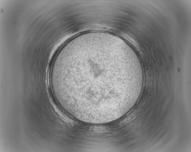 X0000059091128200510211600