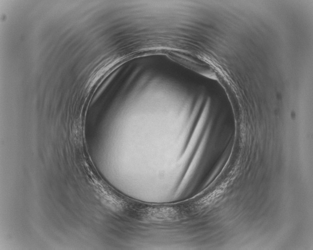 X0000059091129200510211600