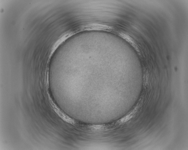 X0000059091130200510211600