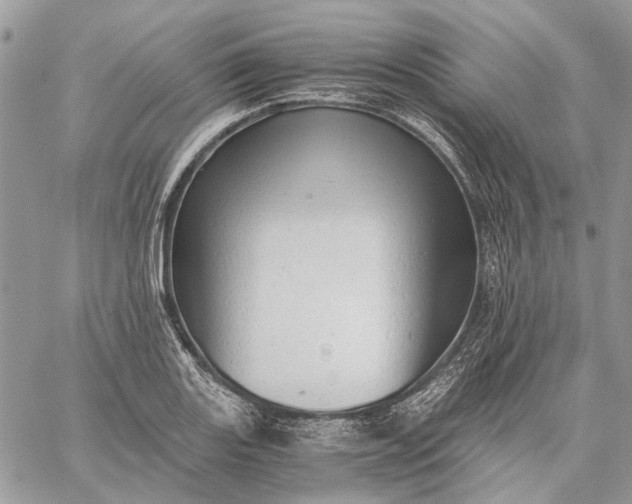 X0000059091131200510211600