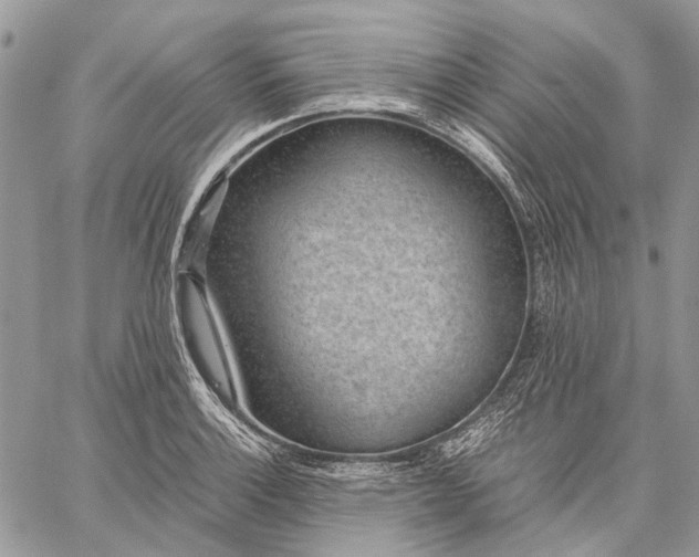 X0000059091132200510211600