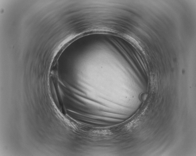 X0000059091133200510211600