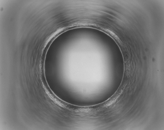 X0000059091134200510211600