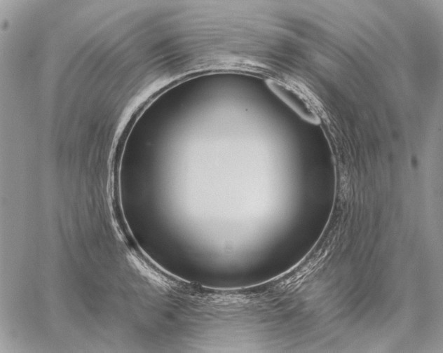 X0000059091136200510211600